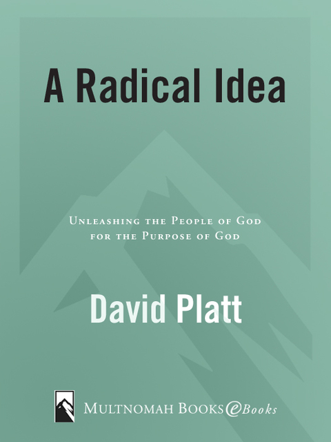 Cover image for book A Radical Idea