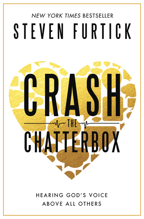 Cover image for book Crash the Chatterbox