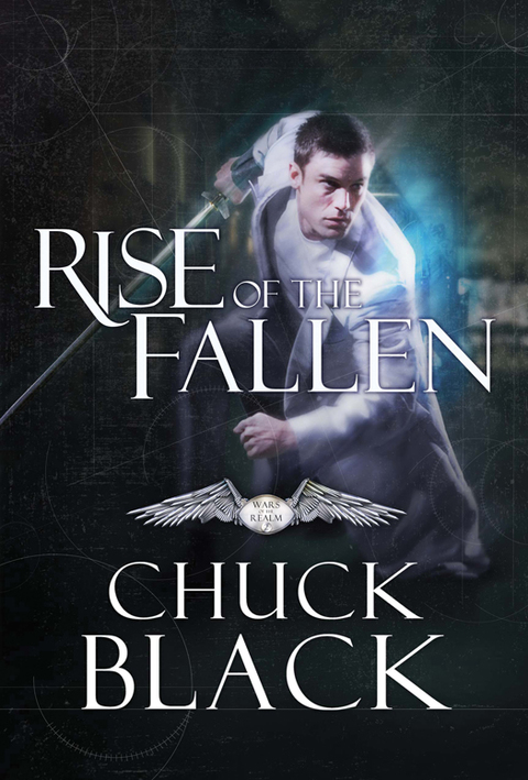 Cover image for book Rise of the Fallen