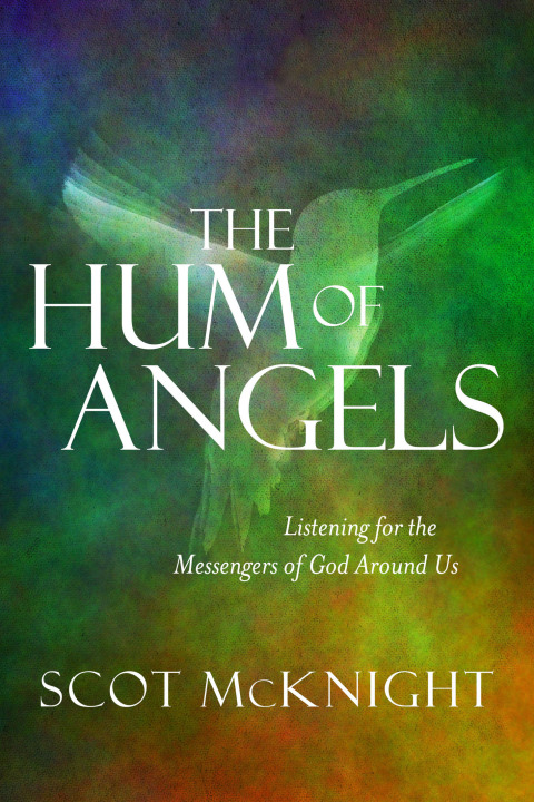 Cover image for book The Hum of Angels