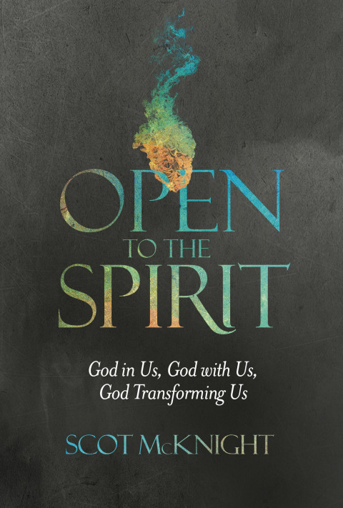 Cover image for book Open to the Spirit