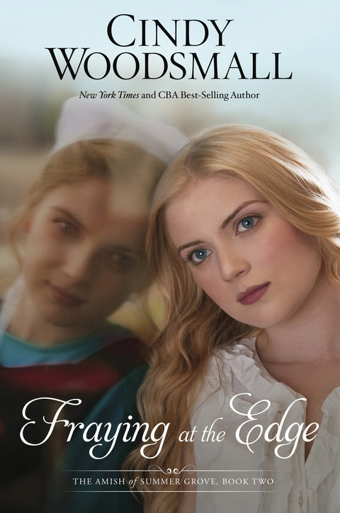 Cover image for book Fraying at the Edge