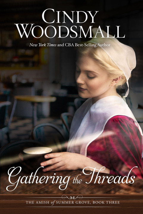 Cover image for book Gathering the Threads