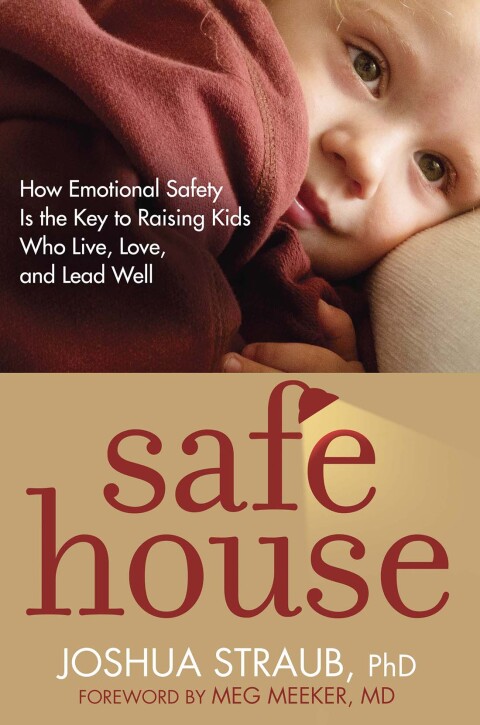 Cover image for book Safe House