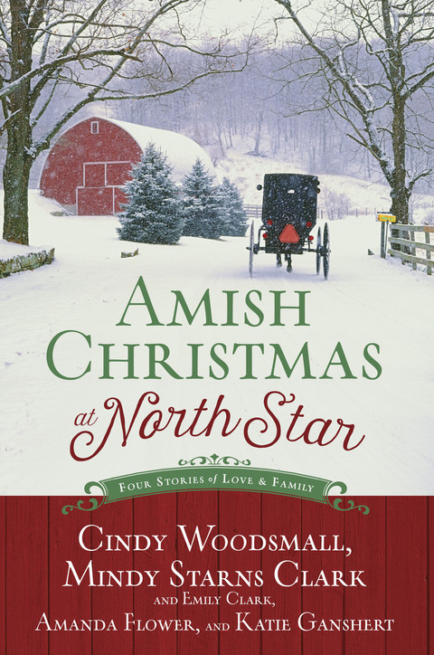 Cover image for book Amish Christmas at North Star