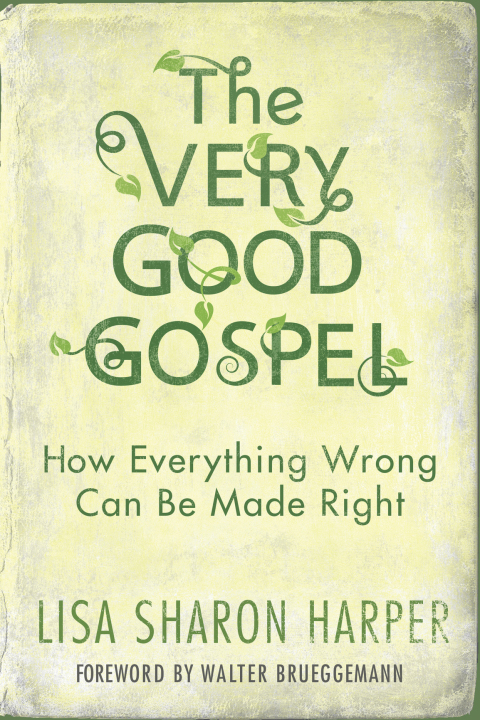 Cover image for book The Very Good Gospel