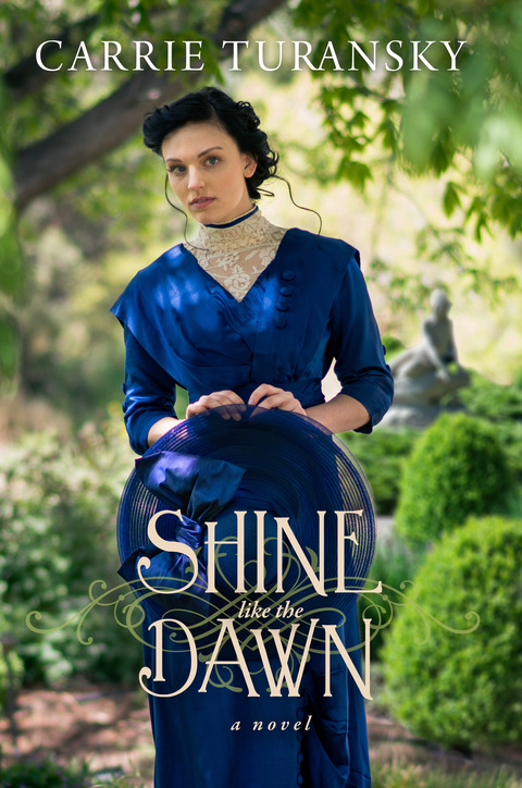 Cover image for book Shine Like the Dawn