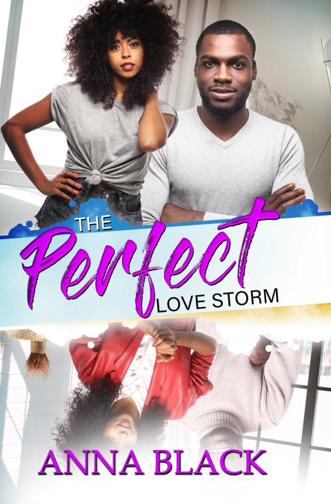 Cover image for book The Perfect Love Storm