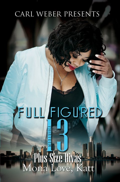 Cover image for book Full Figured 13