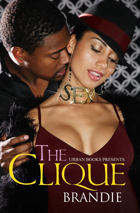 Cover image for book The Clique