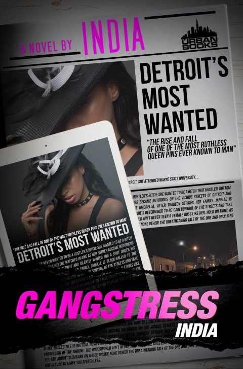 Cover image for book Gangstress