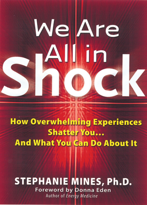 Cover image for book We Are All In Shock
