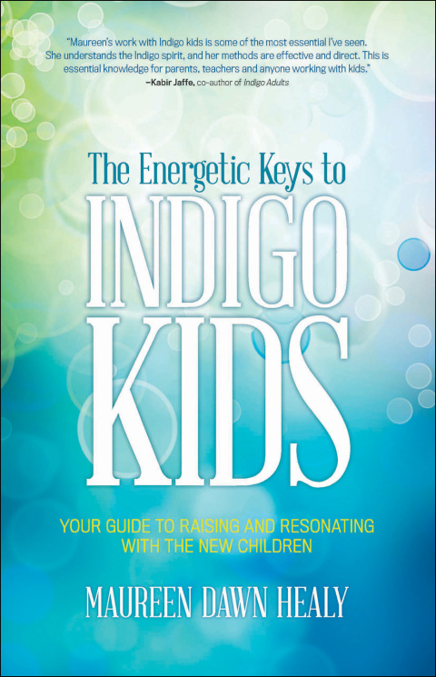 Cover image for book The Energetic Keys to Indigo Kids