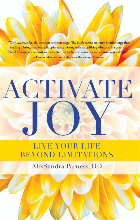 Cover image for book Activate Joy
