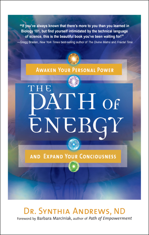 Cover image for book The Path of Energy
