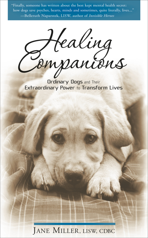 Cover image for book Healing Companions