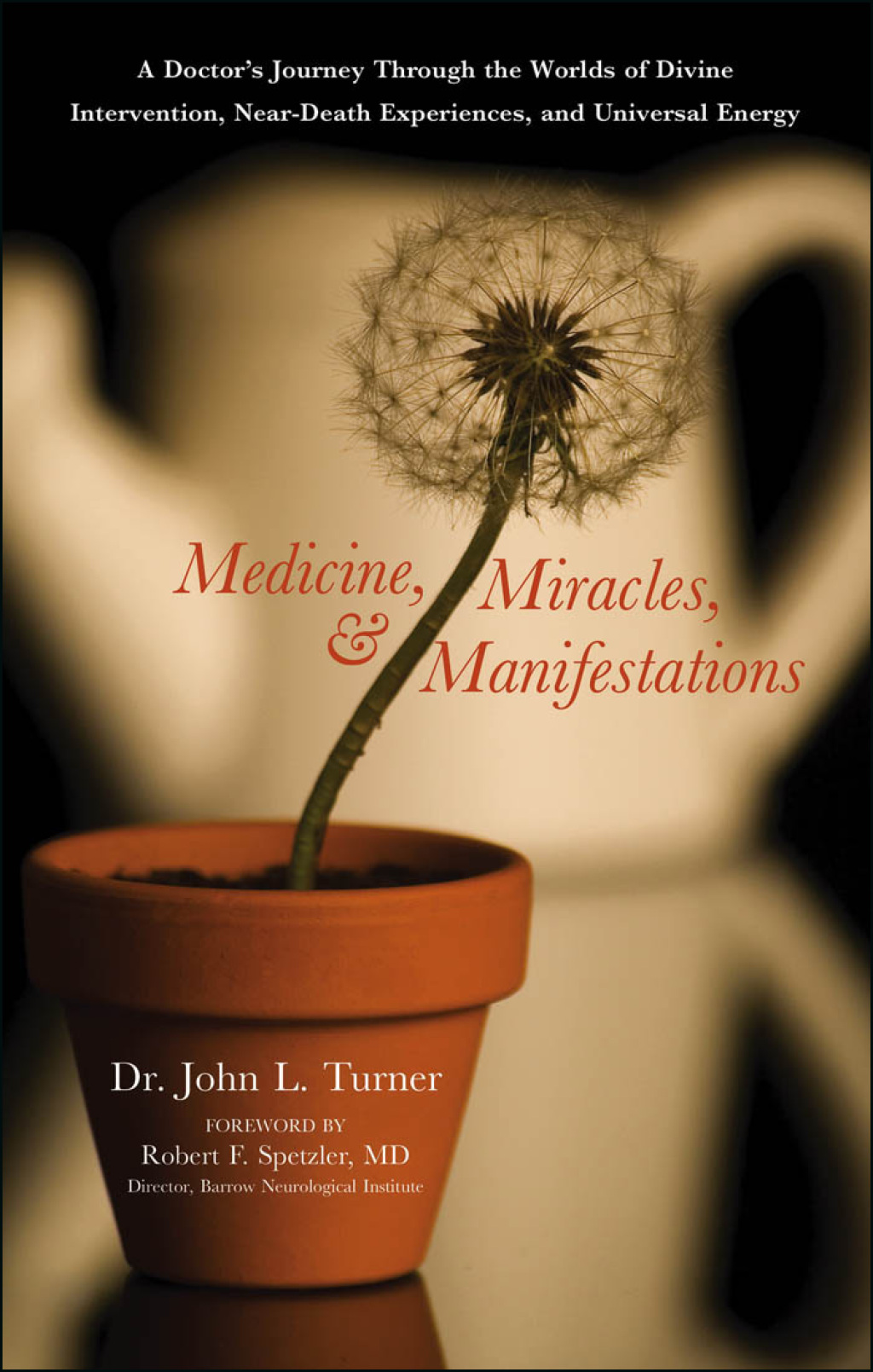 Medicine  Miracles  & Manifestations (eBook) - John L. Turner