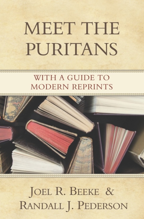 Cover image for book Meet the Puritans