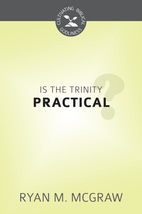 Cover image for book Is the Trinity Practical?