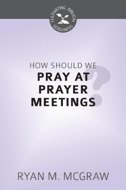 Cover image for book How Should We Pray at Prayer Meetings?