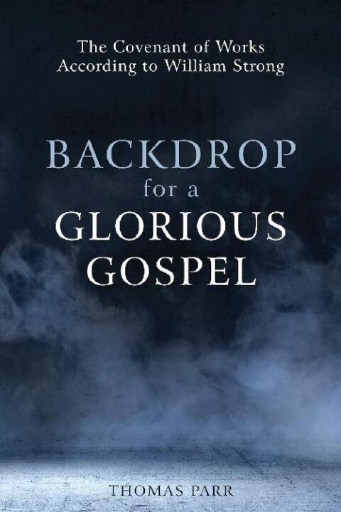Cover image for book Backdrop for a Glorious Gospel