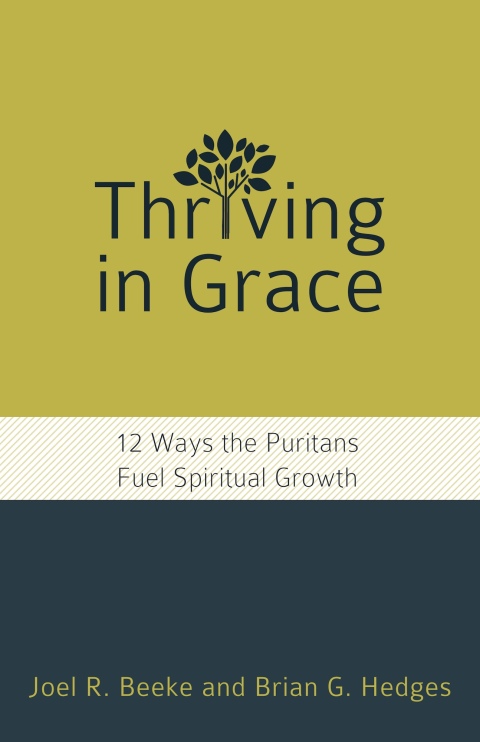 Cover image for book Thriving in Grace