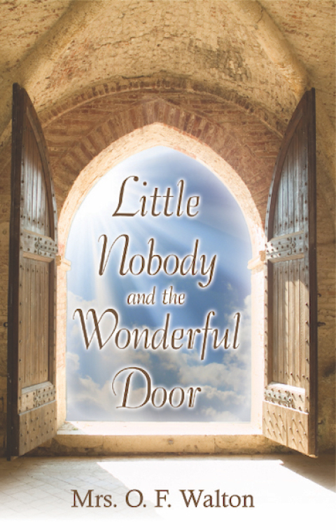 Cover image for book Little Nobody and the Wonderful Door