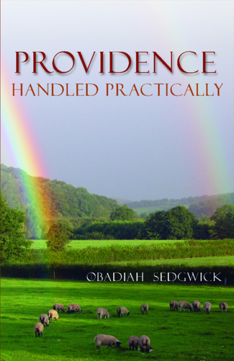Cover image for book Providence Handled Practically