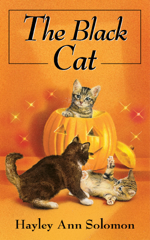 Cover image for book The Black Cat