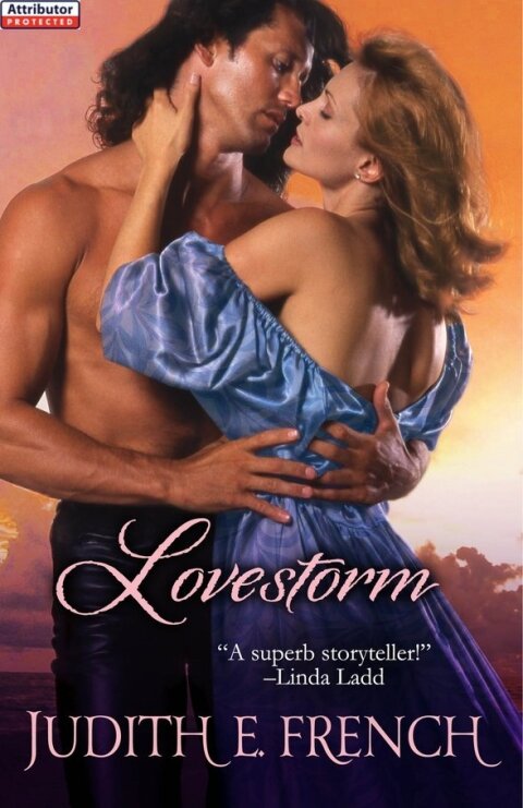 Cover image for book Lovestorm