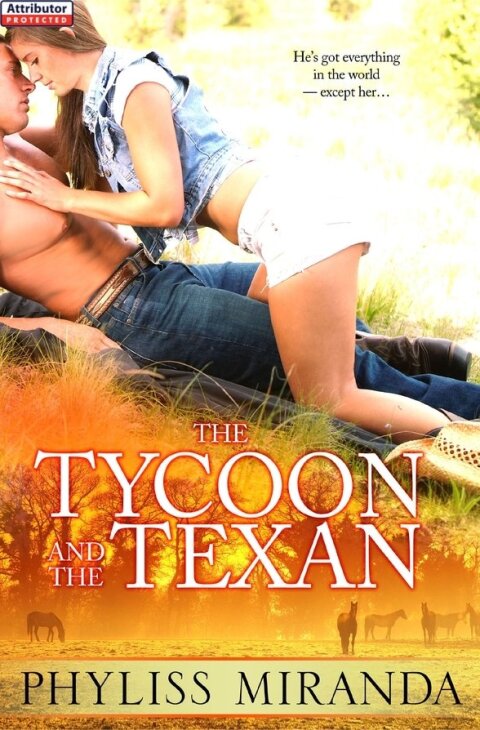 Cover image for book The Tycoon and the Texan