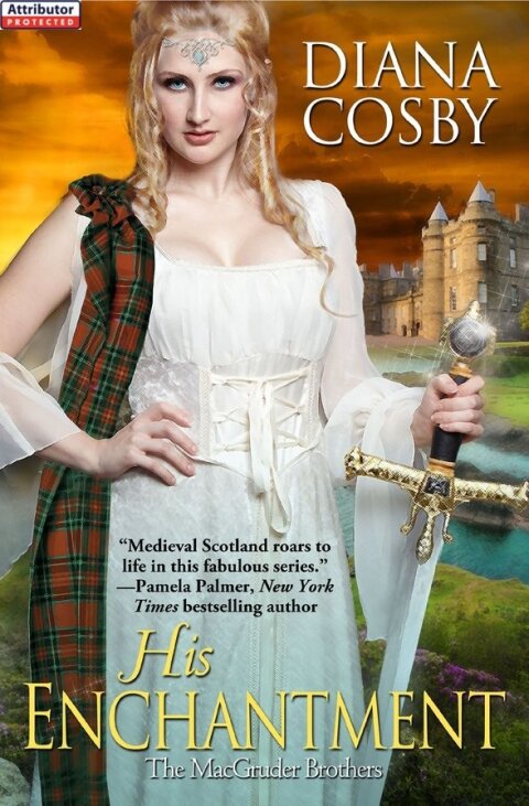 Cover image for book His Enchantment