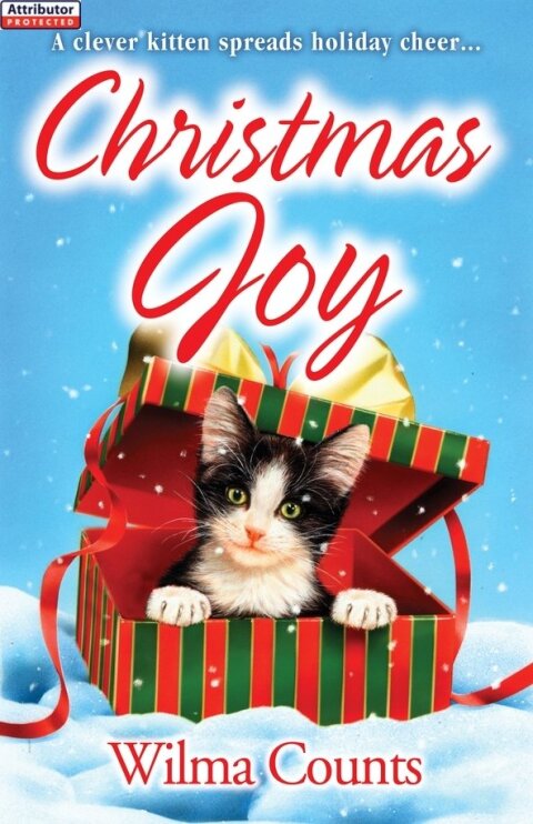 Cover image for book Christmas Joy