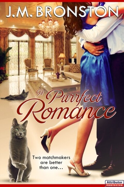 Cover image for book A Purrfect Romance