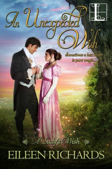 Cover image for book An Unexpected Wish