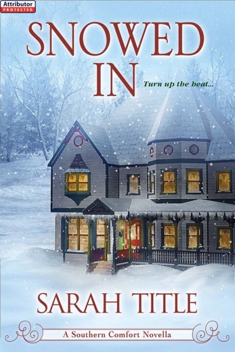 Cover image for book Snowed In