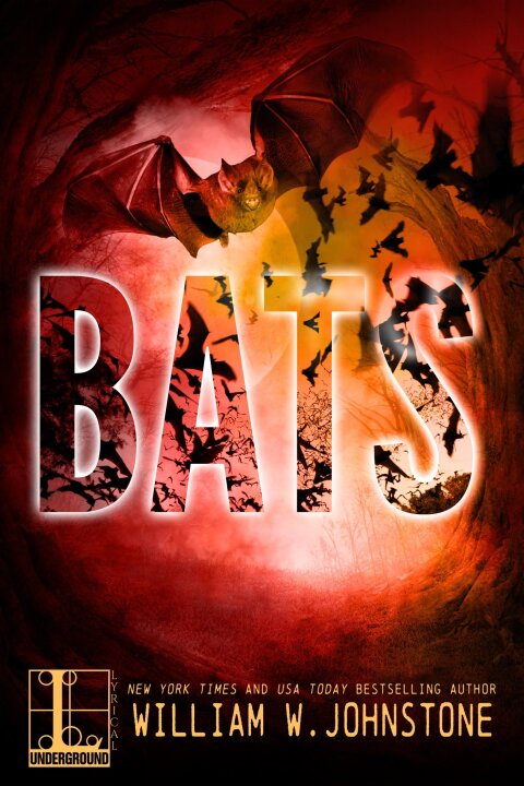 Cover image for book Bats