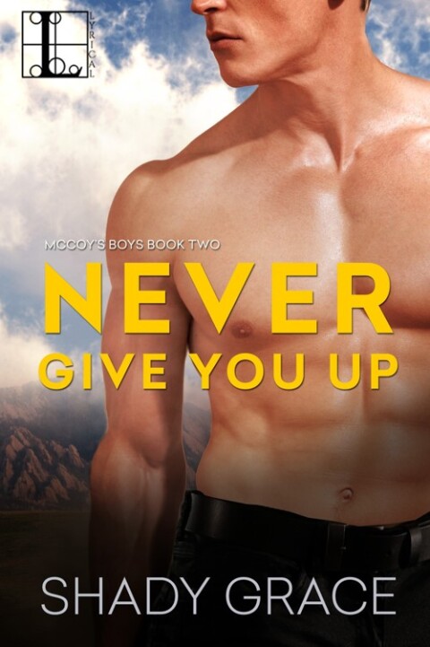 Cover image for book Never Give You Up