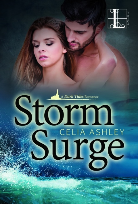 Cover image for book Storm Surge