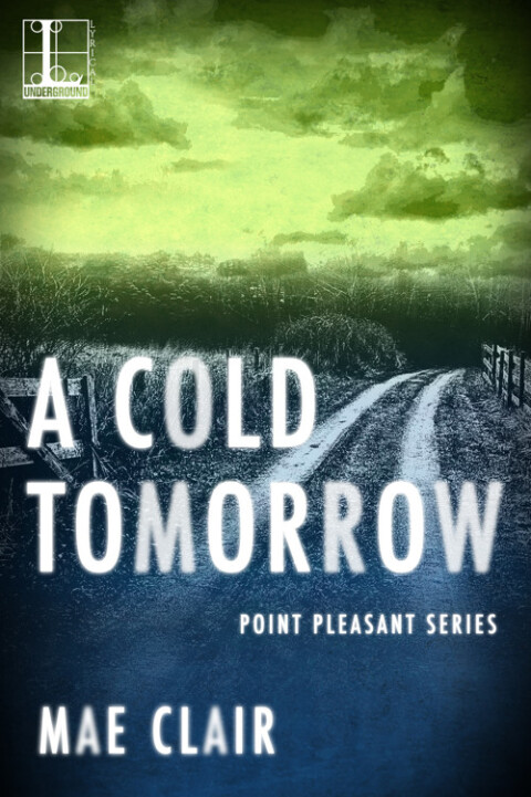 Cover image for book A Cold Tomorrow