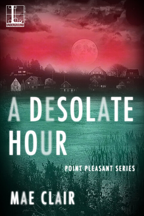 Cover image for book A Desolate Hour