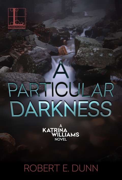 Cover image for book A Particular Darkness
