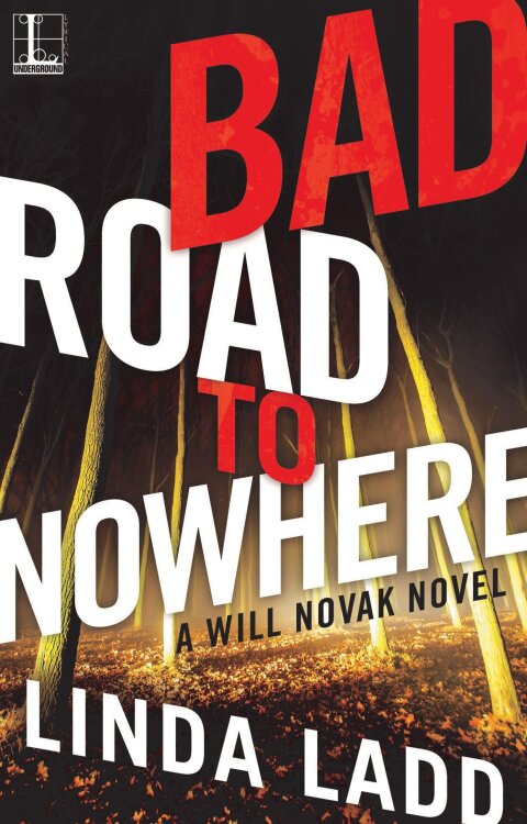 Cover image for book Bad Road to Nowhere