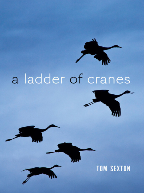 A Ladder of Cranes 