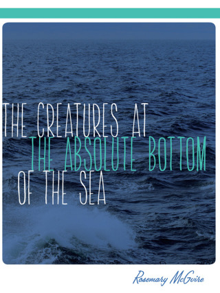 Creatures at the Absolute Bottom of the Sea