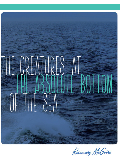 The Creatures at the Absolute Bottom of the Sea 
