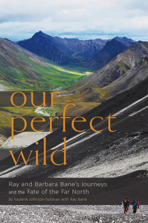 Our Perfect Wild 