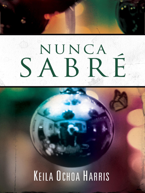 Cover image for book Nunca sabré