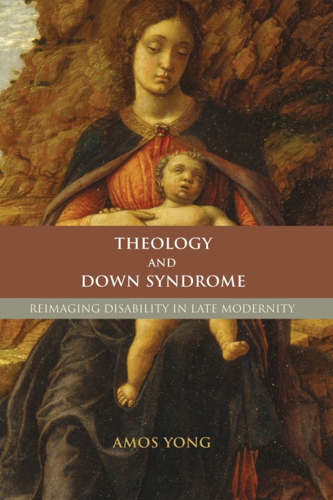 Cover image for book Theology and Down Syndrome
