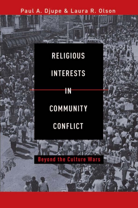 Cover image for book Religious Interests in Community Conflict